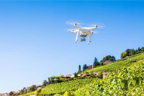 Drones para la vigilancia de viñedos